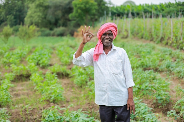 Agricultor de cultivo de okra chino indio sosteniendo bebé okra chino en la granja