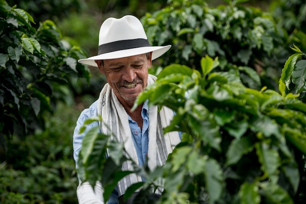 Agricultor de café colombiano