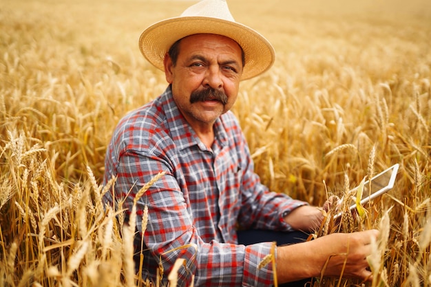 Agricultor de chapéu verificando o progresso do campo de trigo segurando tablet usando internet Agricultura digital