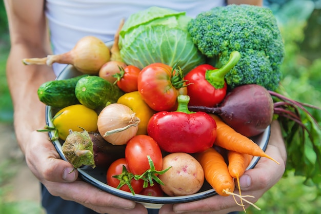 Agricultor de homem com legumes caseiros nas mãos dele.