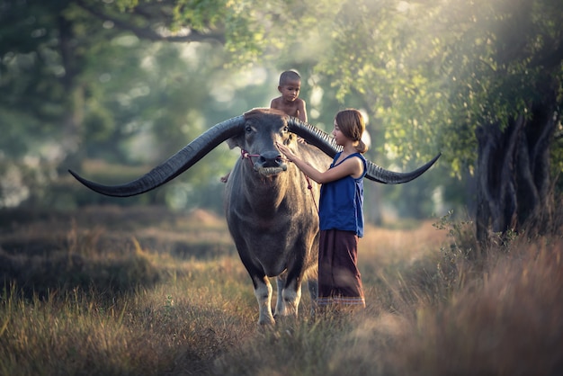 Agricultor de mulher asiática com filho montando um búfalo no campo rural da Tailândia