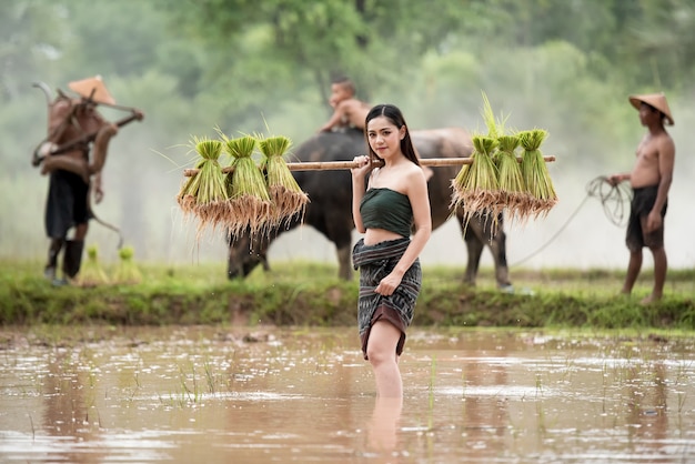 Agricultor de mulheres asiáticas