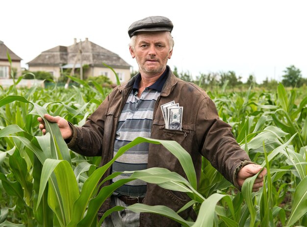 El agricultor con dinero en el bolsillo en el campo.