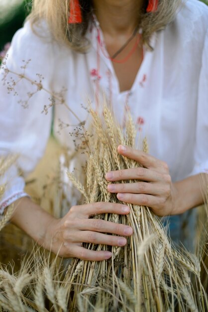 Agricultor em campo Trigo nas mãos Espigas nas mãos Campo dourado de espigas de trigo