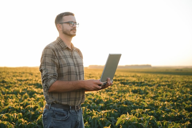 Agricultor em campos de soja Crescimento ao ar livre