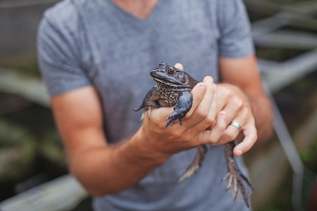 Foto agricultor em fazenda de sapos em bali