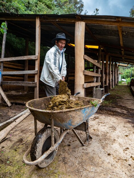 Agricultor em fazenda orgânica nas montanhas de cusco