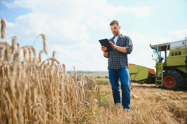 Agricultor em pé no campo de trigo na colheita