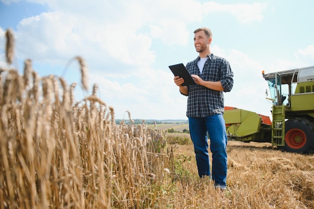 Agricultor em pé no campo de trigo na colheita