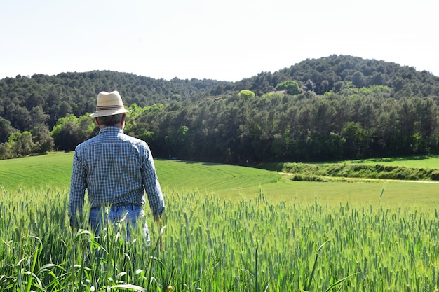 Agricultor em um campo de trigo