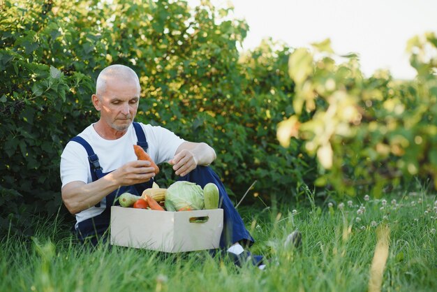 Agricultor em um campo segurando uma caixa de vegetais