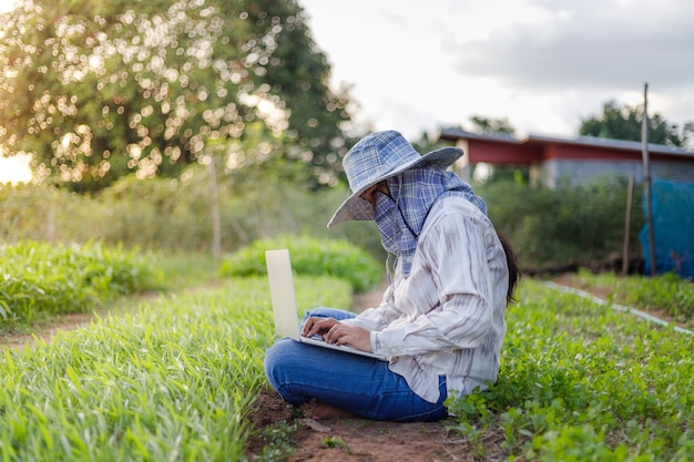 Agricultor está usando una computadora portátil en una granja de vegetales