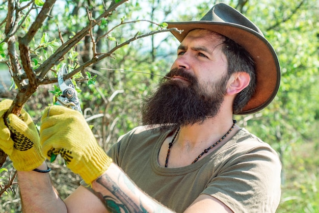 Agricultor examinando galho de enxerto em pomar farmar desfruta da natureza da primavera e cuida de sua planta