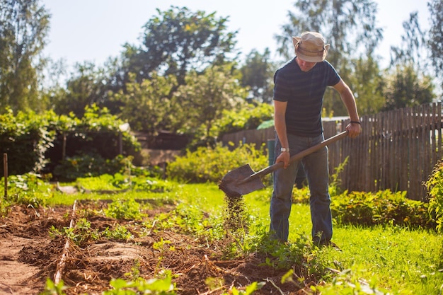 El agricultor excava el suelo en el huerto Preparando el suelo para plantar verduras Concepto de jardinería Trabajo agrícola en la plantación