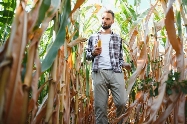 Foto agricultor exitoso en campo de maíz