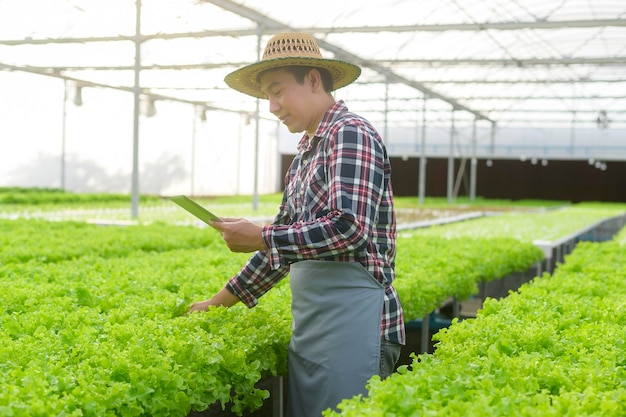 Un agricultor feliz trabajando con tableta en la granja de invernadero hidropónico