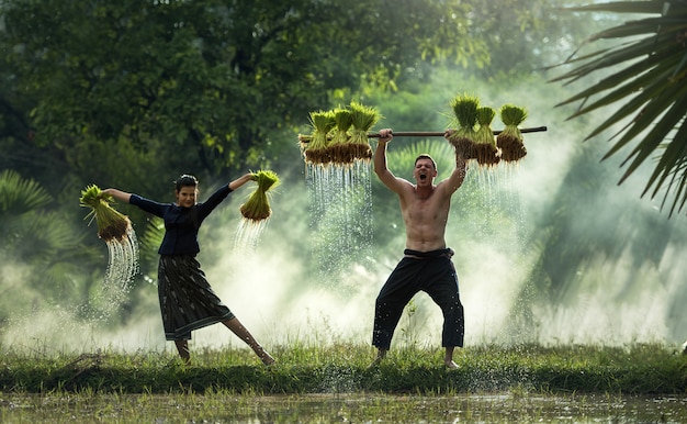 Agricultor feliz