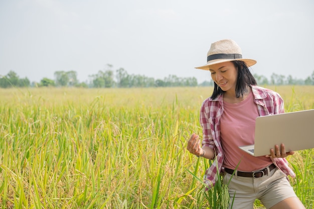 Agricultor feminino jovem asiático com chapéu em pé no campo e digitando no teclado do computador portátil. Conceito de tecnologia de agricultura. agricultor usa laptop no campo de arroz dourado para cuidar de seu arroz.