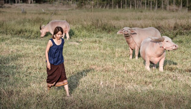 Agricultor feminino tailandês com um búfalo no campo