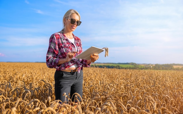 Agricultor feminino usando computador tablet no campo de trigo