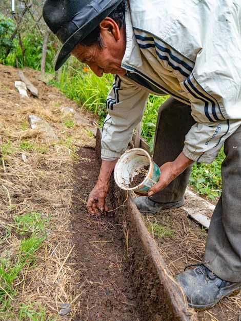 Agricultor en finca orgánica en las montañas de Cusco