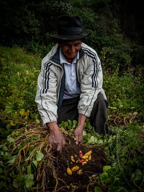 Agricultor en finca orgánica en las montañas de Cusco