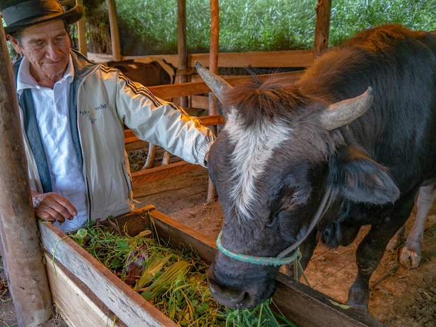 Agricultor en finca orgánica en las montañas de Cusco