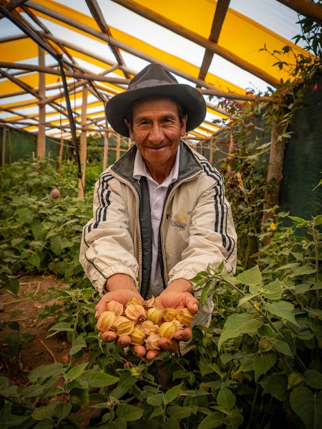 Agricultor en finca orgánica en las montañas de Cusco