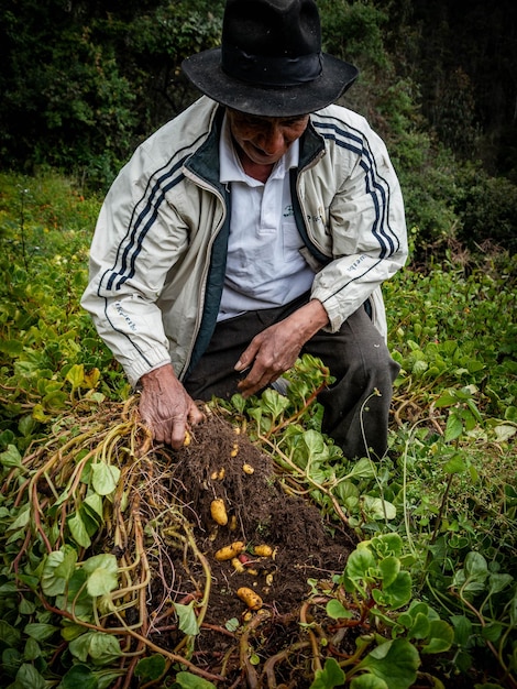 Agricultor en finca orgánica en las montañas de Perú