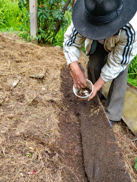 Agricultor en finca orgánica en las montañas de Perú