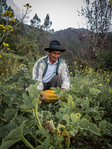 Agricultor en finca orgánica en las montañas de Perú