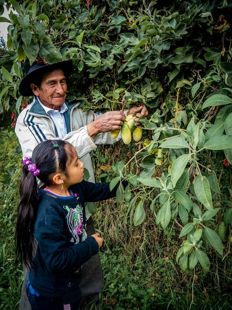 Agricultor en finca orgánica en las montañas de Perú