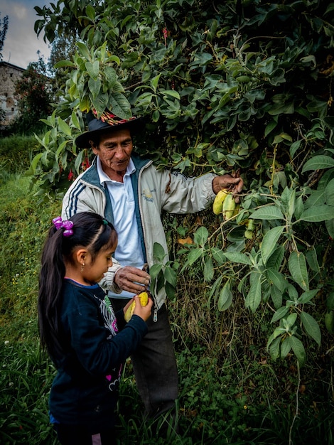 Agricultor en finca orgánica en las montañas de Perú