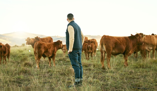 Agricultor y ganadería con paseo de animales relajarse y alimentarse de la agricultura y la naturaleza del campo de hierba Granja mexicana y ganadería en el campo de México para la sostenibilidad de la carne y la leche