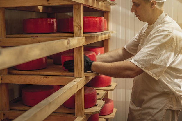 Agricultor en guantes da la vuelta a las cabezas de queso en el almacenamiento de maduración de queso Producción de quesos y productos lácteos