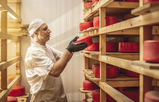 Agricultor en guantes da la vuelta a las cabezas de queso en el almacenamiento de maduración de queso Producción de quesos y productos lácteos