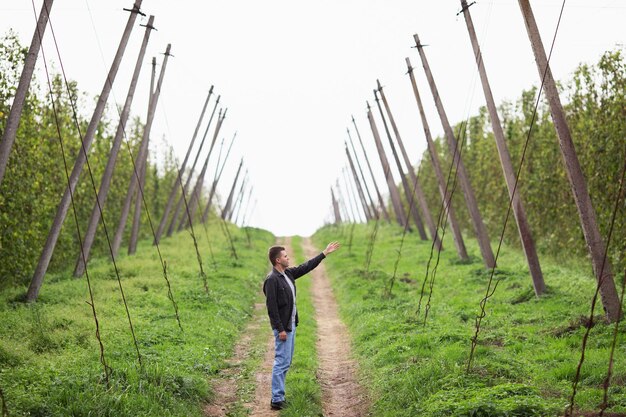 Agricultor ha gran plantación de judías verdes Industria agrícola