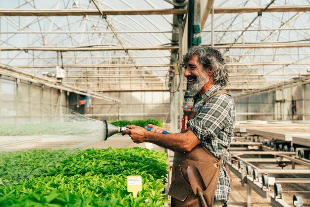 Agricultor idoso a trabalhar na sua quinta e na sua estufa