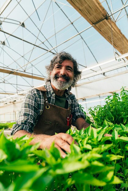 Agricultor idoso a trabalhar na sua quinta e na sua estufa