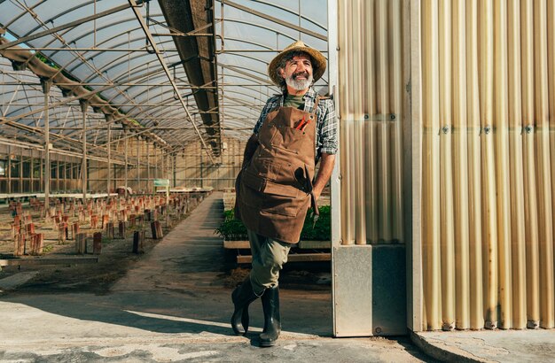 Agricultor idoso a trabalhar na sua quinta e na sua estufa