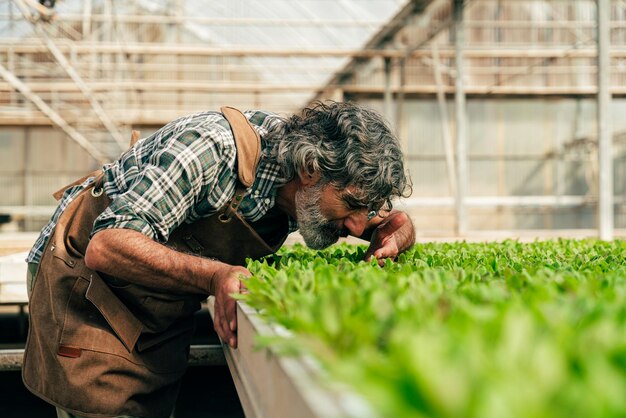 Agricultor idoso a trabalhar na sua quinta e na sua estufa