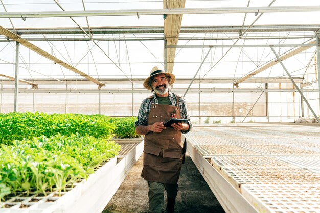 Agricultor idoso a trabalhar na sua quinta e na sua estufa