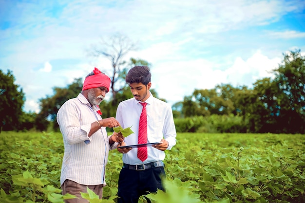 Agricultor indiano com agrônomo na plantação de algodão, mostrando algumas informações na guia