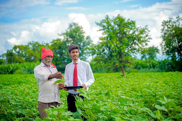 Agricultor indiano com agrônomo na plantação de algodão, mostrando algumas informações na guia