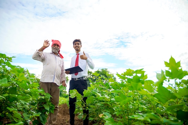 Agricultor indiano com agrônomo no campo de algodão, mostrando o polegar para cima