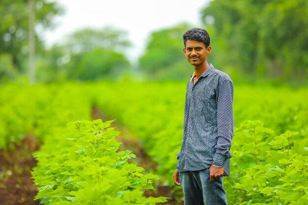 Agricultor indiano em campo de algodão verde