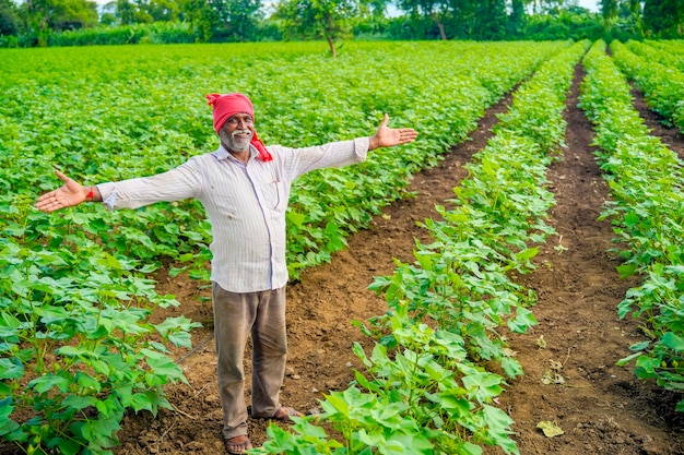 Agricultor indiano em campo de algodão