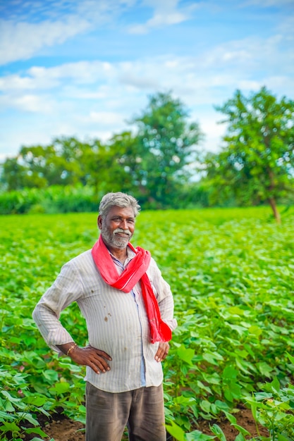 Agricultor indiano em campo de algodão