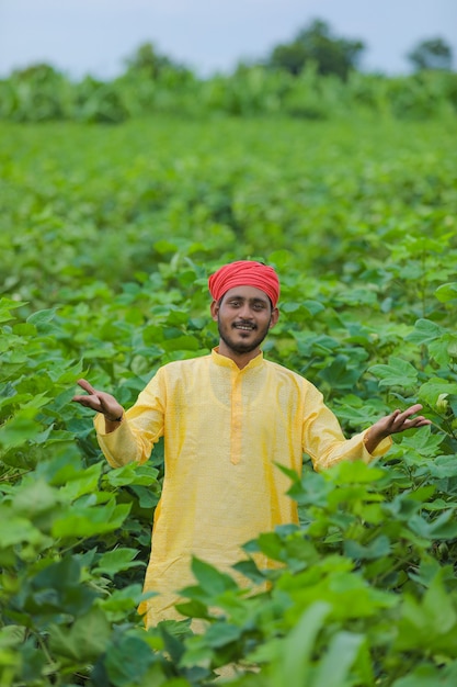 Agricultor indiano em campo de algodão