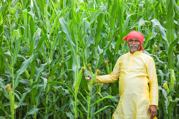 Agricultor indiano em campo de milho